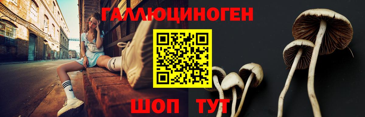 Галлюциногенные грибы GOLDEN TEACHER Майский